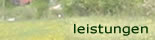 leistungen